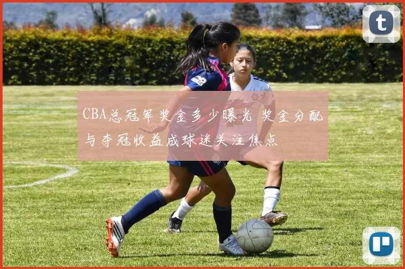 CBA总冠军奖金多少曝光 奖金分配与夺冠收益成球迷关注焦点