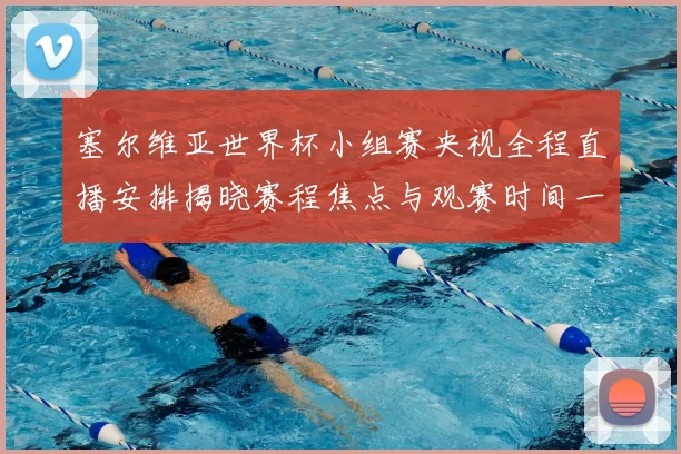 塞尔维亚世界杯小组赛央视全程直播安排揭晓赛程焦点与观赛时间一文看懂