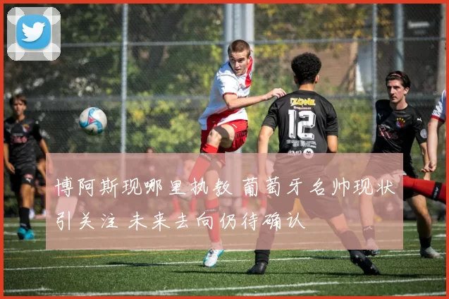 博阿斯现哪里执教 葡萄牙名帅现状引关注 未来去向仍待确认