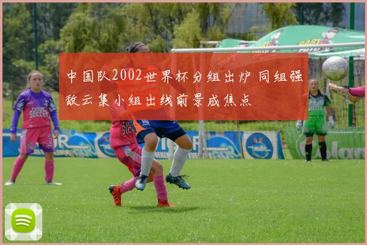 中国队2002世界杯分组出炉 同组强敌云集小组出线前景成焦点